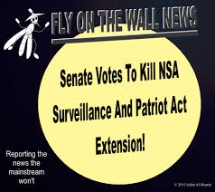 senate votes to kill NSA