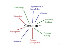 Cognition Equals